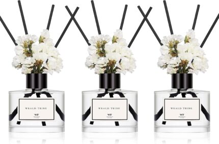 Three transparent glass bottles of WEALD TRIBE flower reed diffusers with black fiber sticks and dried flowers in a luxurious
